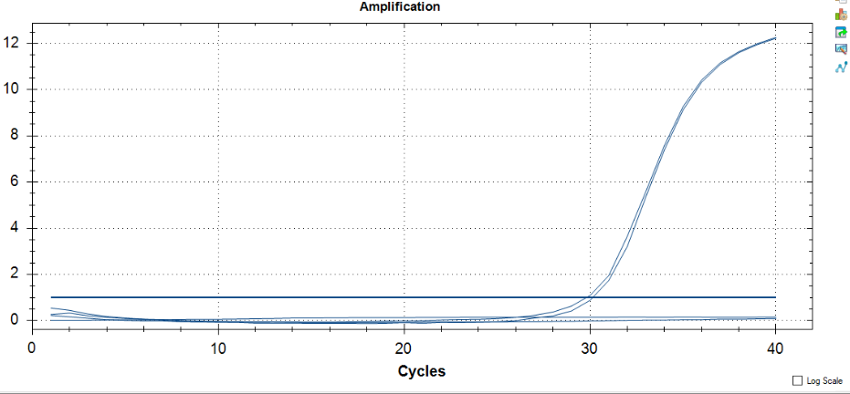 Escherichia coli DNA standard-BNCC