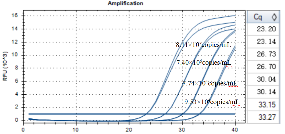 Escherichia coli DNA standard-BNCC