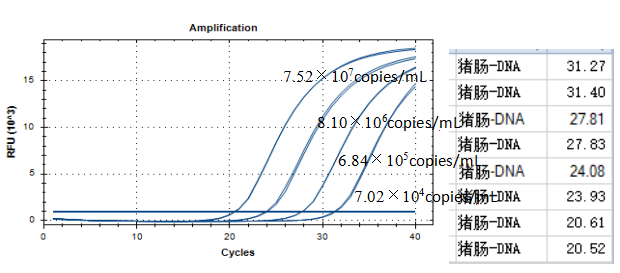 Porcine Enterococcus DNA Standard-BNCC