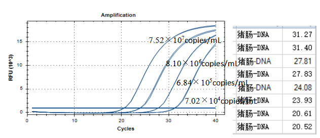 Porcine Enterococcus DNA Standard-BNCC