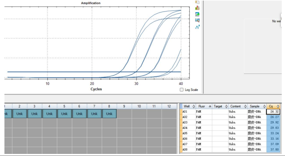 Staphylococcus saprophyticus DNA standard-BNCC