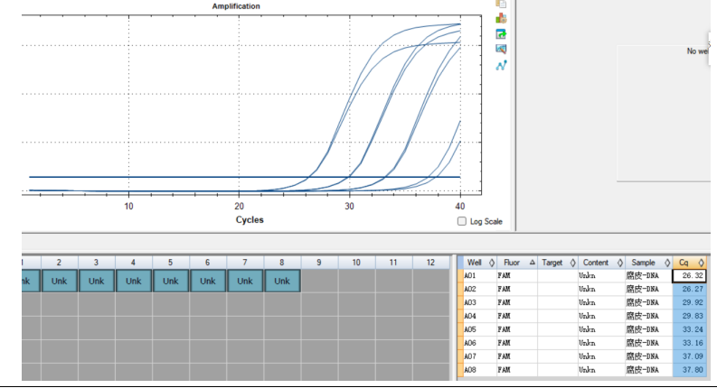 Staphylococcus saprophyticus DNA standard-BNCC