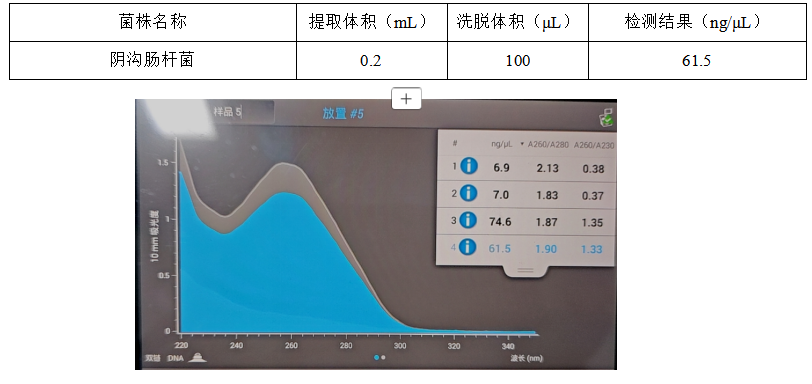 Indoor quality control product for deoxyribonucleic acid liquid of Escherichia coli-BNCC