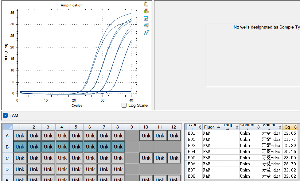 Porphyromonas endodontalis DNA Standard-BNCC