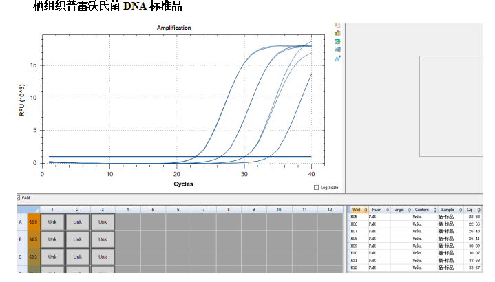 Human tissue Prevotella DNA standard-BNCC