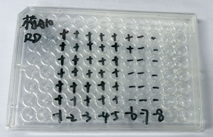 Coxsackievirus A10-BNCC