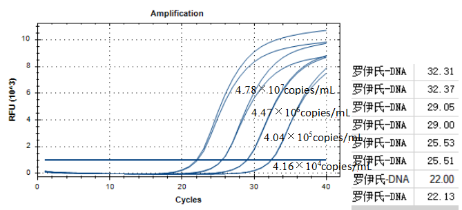 Lactobacillus reuteri DNA Standard-BNCC