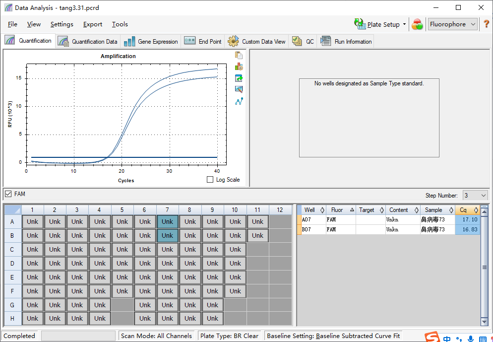 Human Rhinovirus 73 Nucleic Acid Reference (Heat-inactivated) (Strong Positive)-BNCC