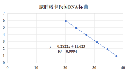 Nocardia abscessus DNA standard-BNCC