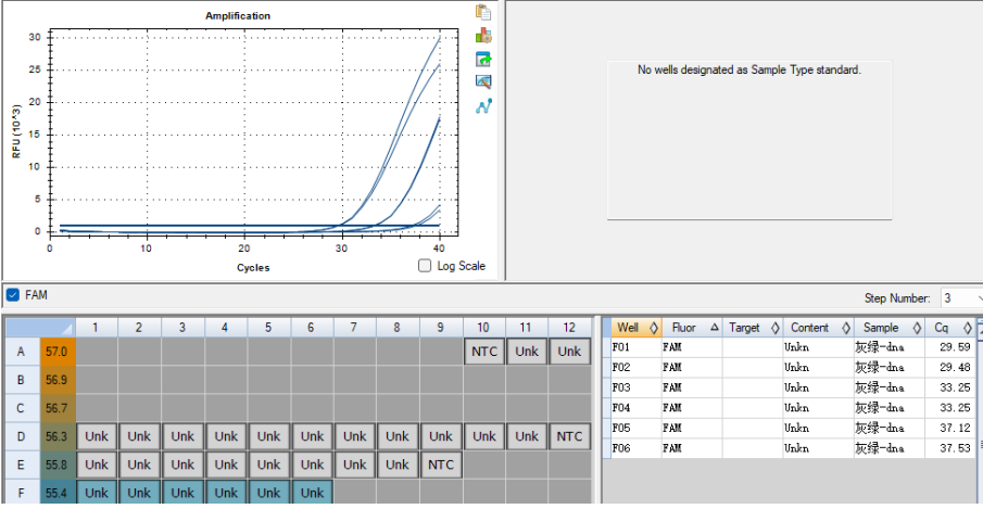 Grey green Aspergillus DNA standard-BNCC