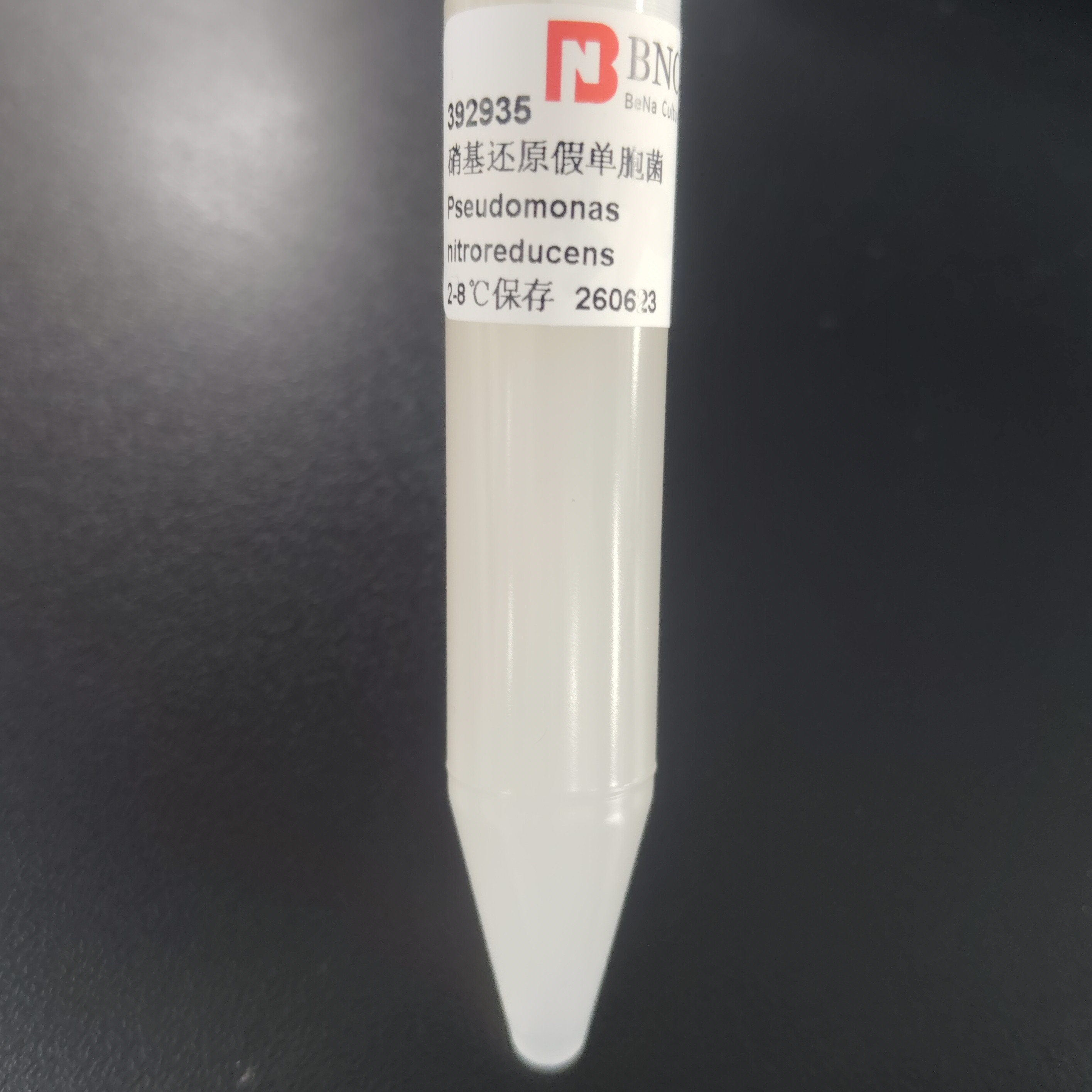 Nitroreducing Pseudomonas-BNCC