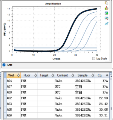 Pseudomonas aeruginosa DNA standard-BNCC