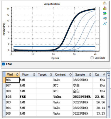 Pseudomonas aeruginosa DNA standard-BNCC
