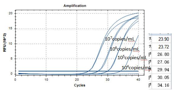 Indoor quality control material for human rhinovirus A31 ribonucleic acid liquid-BNCC