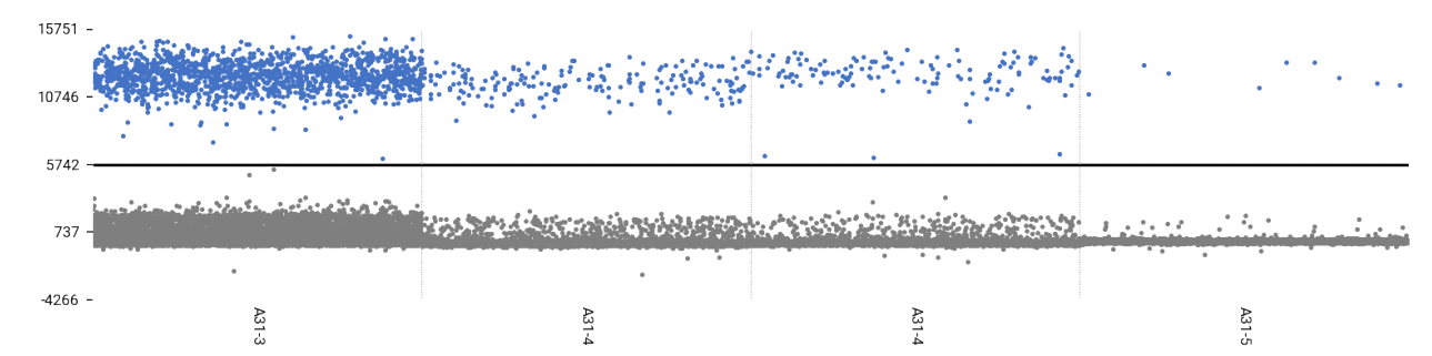 Human Rhinovirus A31 RNA Standard-BNCC