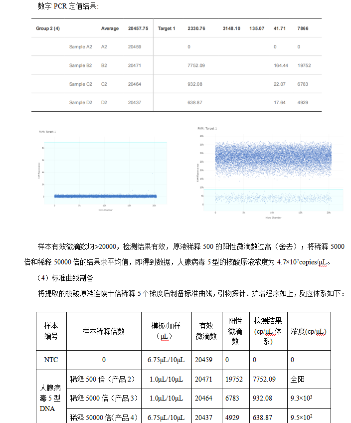 Human adenovirus type 5 (Hexon gene) inactivated virus nucleic acid standard substance-BNCC