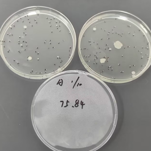 Standard sample of total bacterial count in cosmetics-BNCC