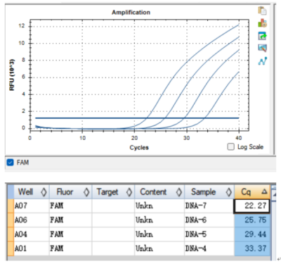 Citrobacter freundii DNA standard-BNCC