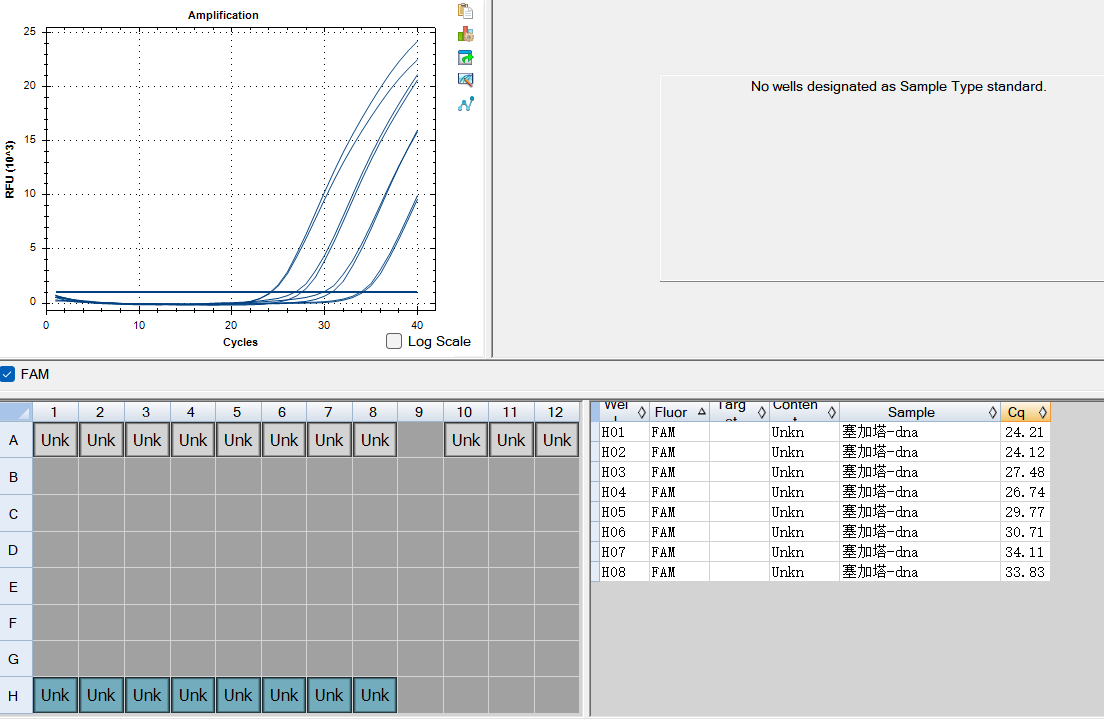Fecal Segatella DNA Standard-BNCC