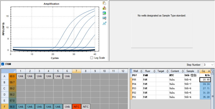 Tularemia Orientalis 56 kDa Gene Plasmid DNA Standard-BNCC