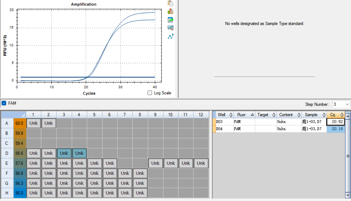 Human Herpesvirus Type 1 DNA Standard-BNCC