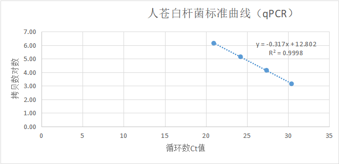 Human pale bacillus DNA standard-BNCC