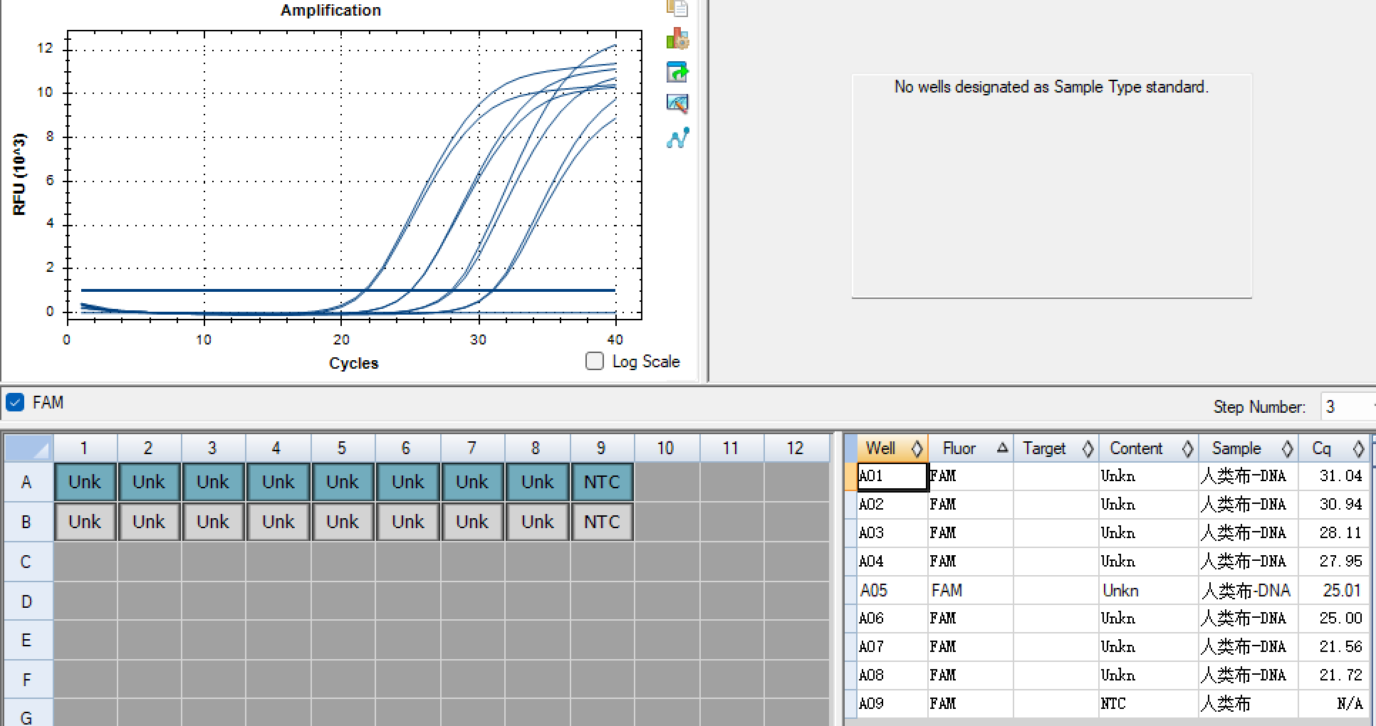 Human Brucella DNA standard-BNCC