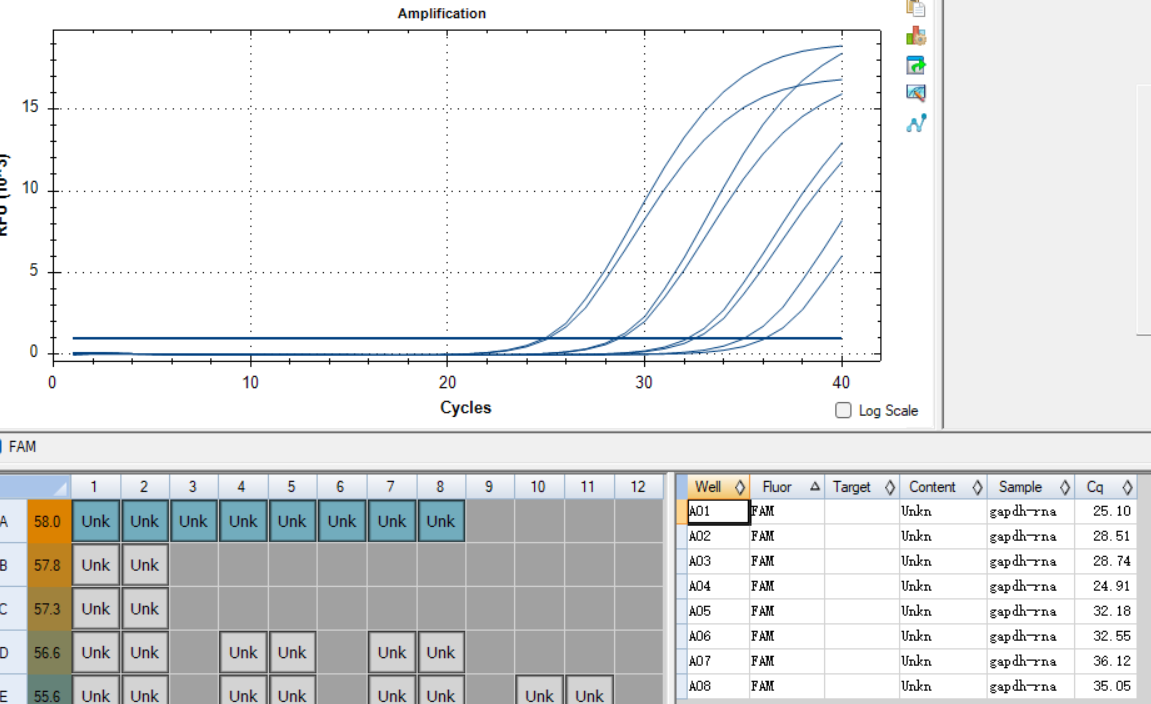 GAPDH gene pseudovirus RNA standard-BNCC