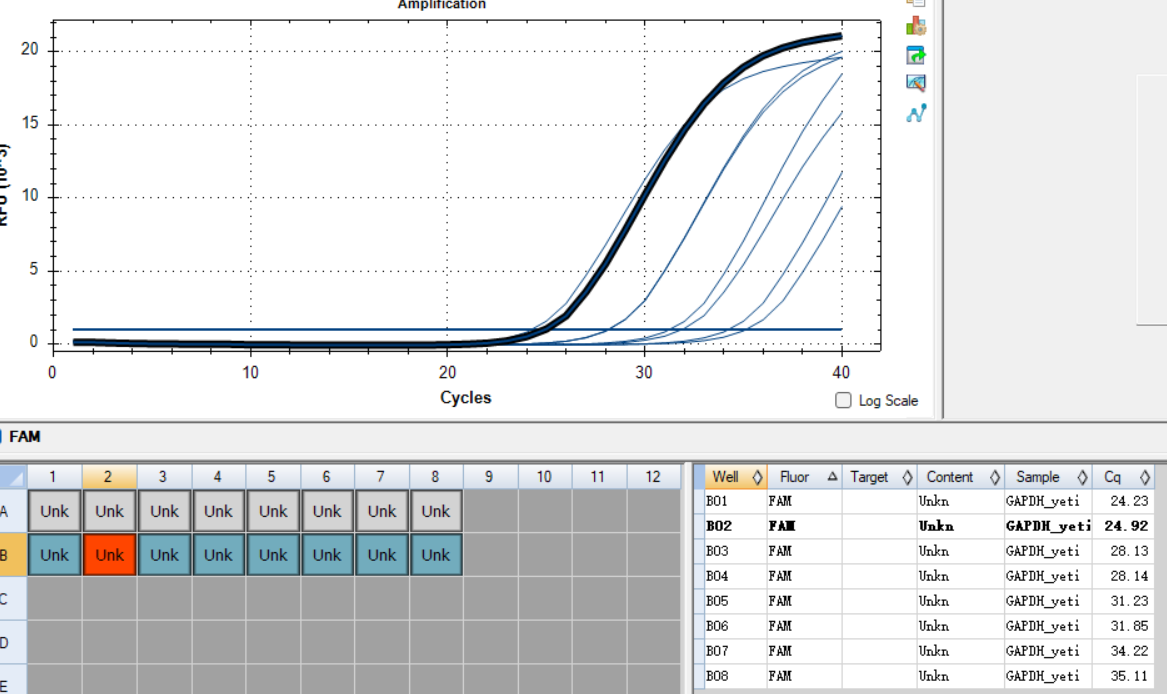 GAPDH gene pseudovirus RNA standard-BNCC