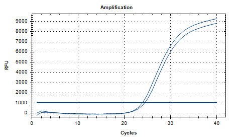Indoor quality control product for liquid deoxyribonucleic acid of Haemophilus influenzae-BNCC