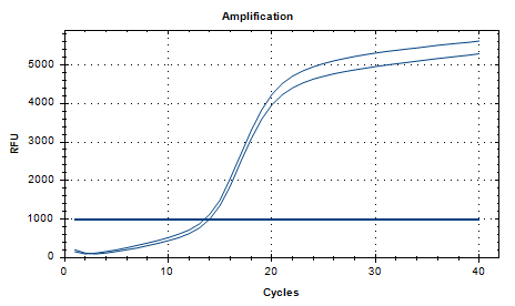 Reference substance for nucleic acid of Campylobacter jejuni (Heat-inactivated) (strongly positive)-BNCC